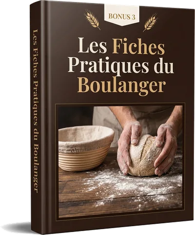 Aperçu du matériel numérique